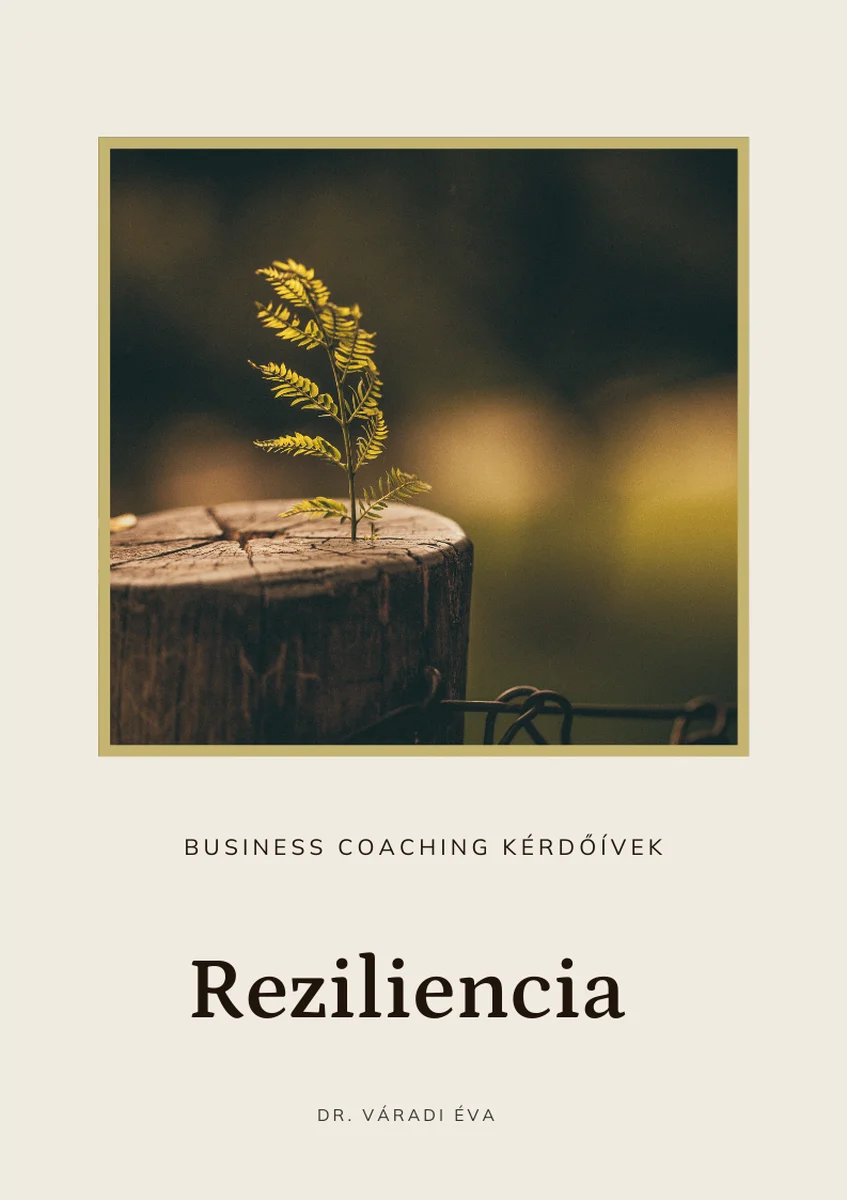 business coaching teszt reziliencia